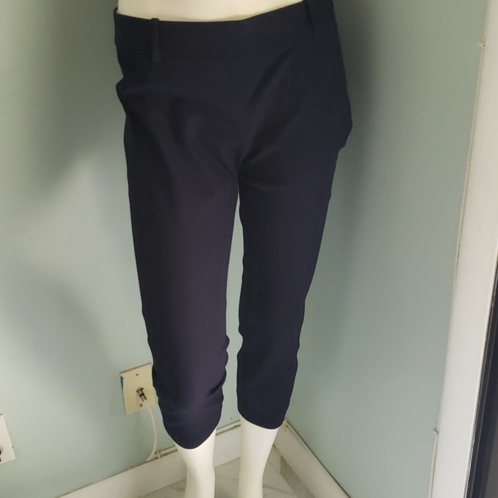 J Crew Navy  Capris Pants Minnie 6P